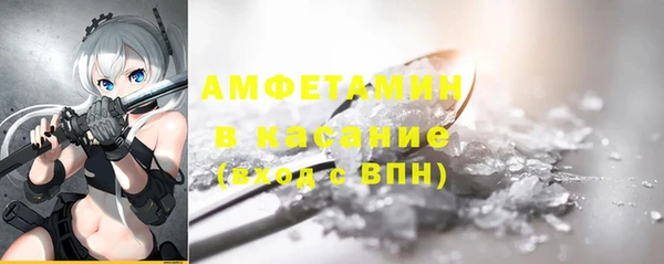 дмт Бородино