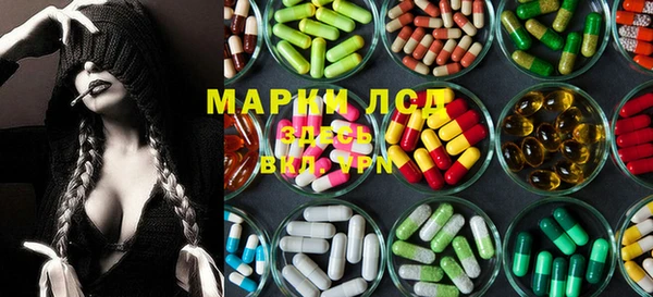 дмт Бородино