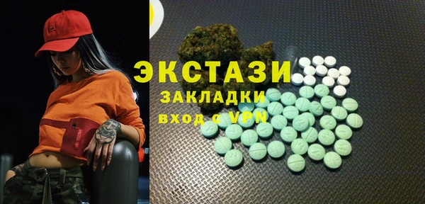 дмт Бородино