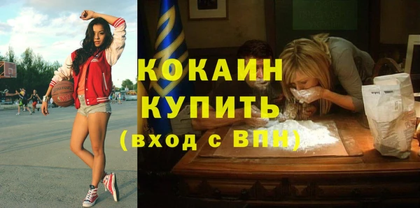 дмт Бородино