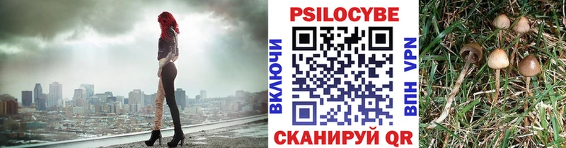 Галлюциногенные грибы ЛСД  Купить где  Кедровый 